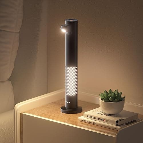 CHICLEW 24W Double-Head LED Desk Lamp