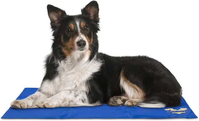 Arf Pets Self-Cooling Dog Mat