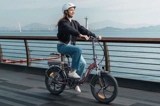 Fafrees F20 Pro 20-Inch Fat Tyre Folding Electric Bike