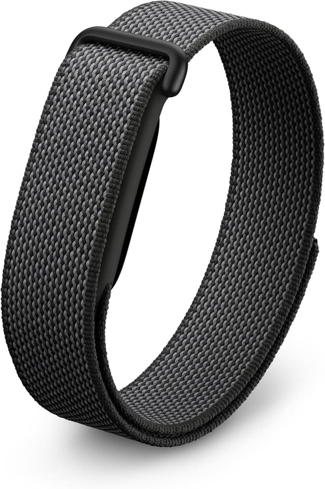 Google Fitbit Air