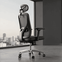 Boulies EP200 Ergonomic Office Chair
