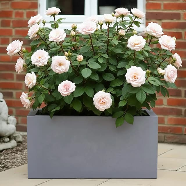 IDEALIST Set of 2 65cm Large Trough Grey Reinforced Stone