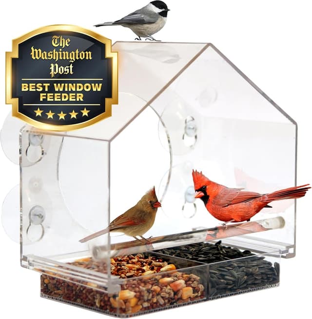 Nature Anywhere Birds-I-View Window Bird Feeder