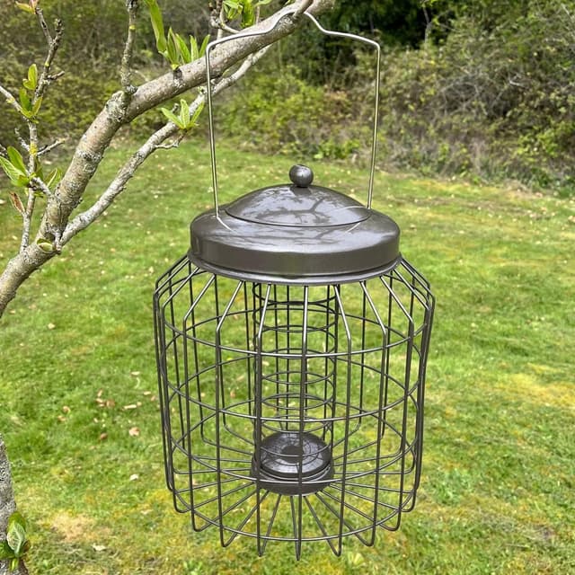Selections Deluxe Squirrel Proof Suet Fat Ball Feeder