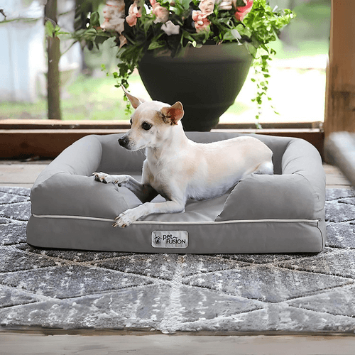 Best Dog Beds 2026: Top 10 UK Picks Reviewed