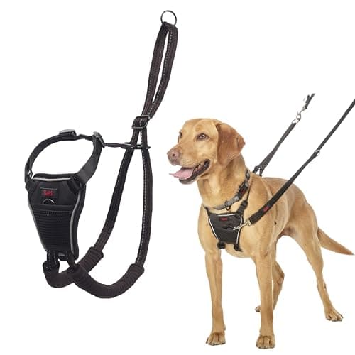 Best Dog Leads & Harnesses 2026: Top 8 UK Picks