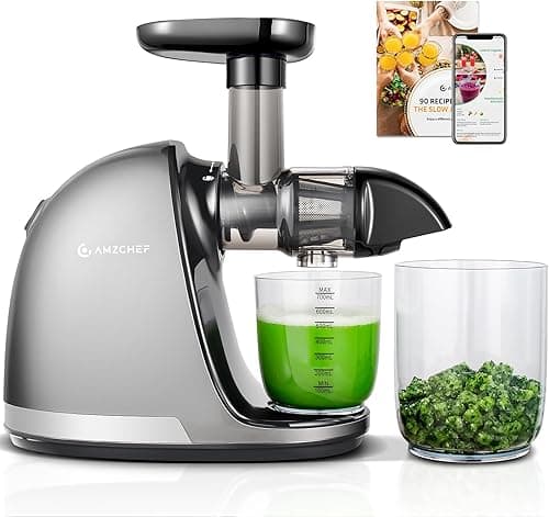 AMZCHEF Cold Press Slow Juicer